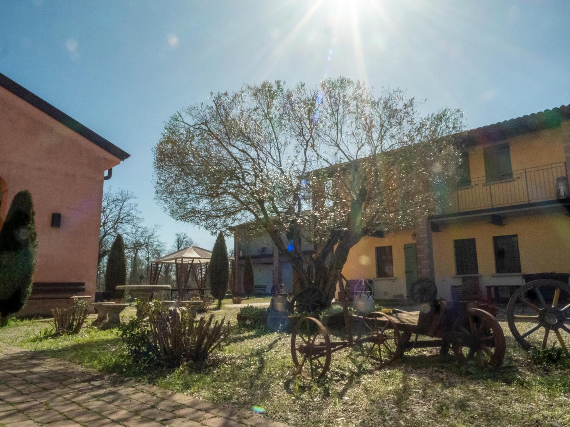 Agriturismo Borgo Del Mincio Вольта-Мантована Екстер'єр фото